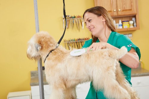 Четка-дюза на Slavi 65715 за кучета със средна и дълги коси породи - Внимателно и ефективно премахва мръсотия, прах и распущенную козина - Допринася за здравето на кожата