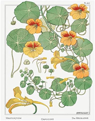 Реколта Ботанически щампи | Френски Диви цветя по стените от Ink Inc. | Цветен Декор на стени | Дизайн на къща в стил бохо | Комплект