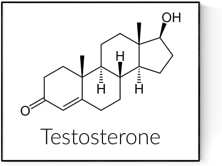 Молекулярната структура на тестостерон | Наука и химия | Художествена печат (11x14)